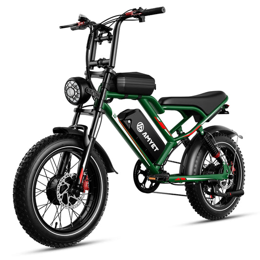 AMYET S8 Adults Electric Bike