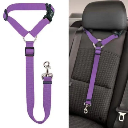 Two-in-one Pet Car Seat Belt