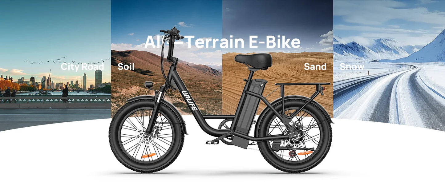 URLIFE 1000W E20 Electric Bike