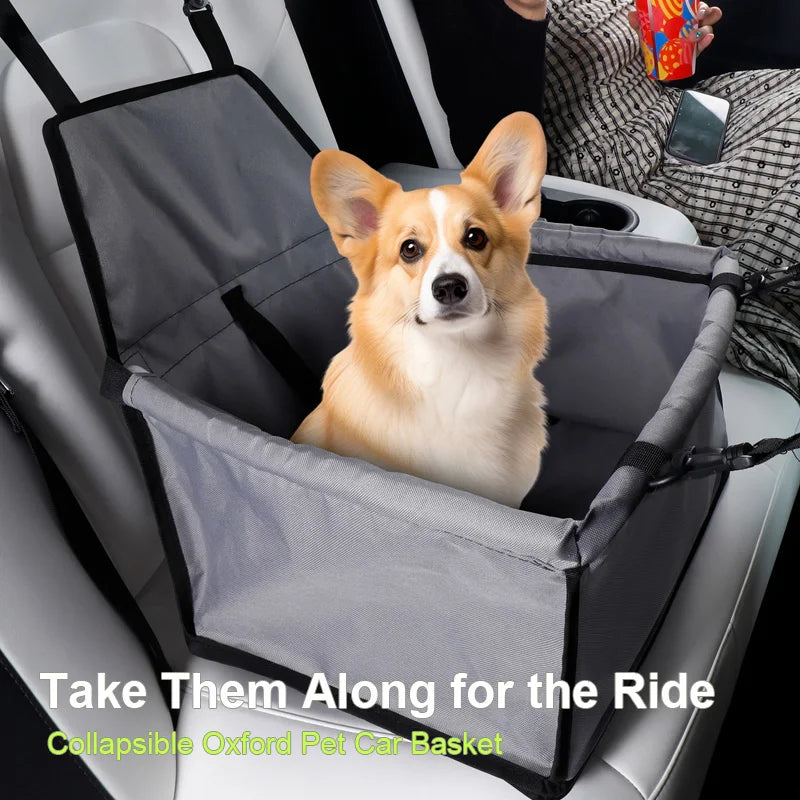 Pet car seat for dogs