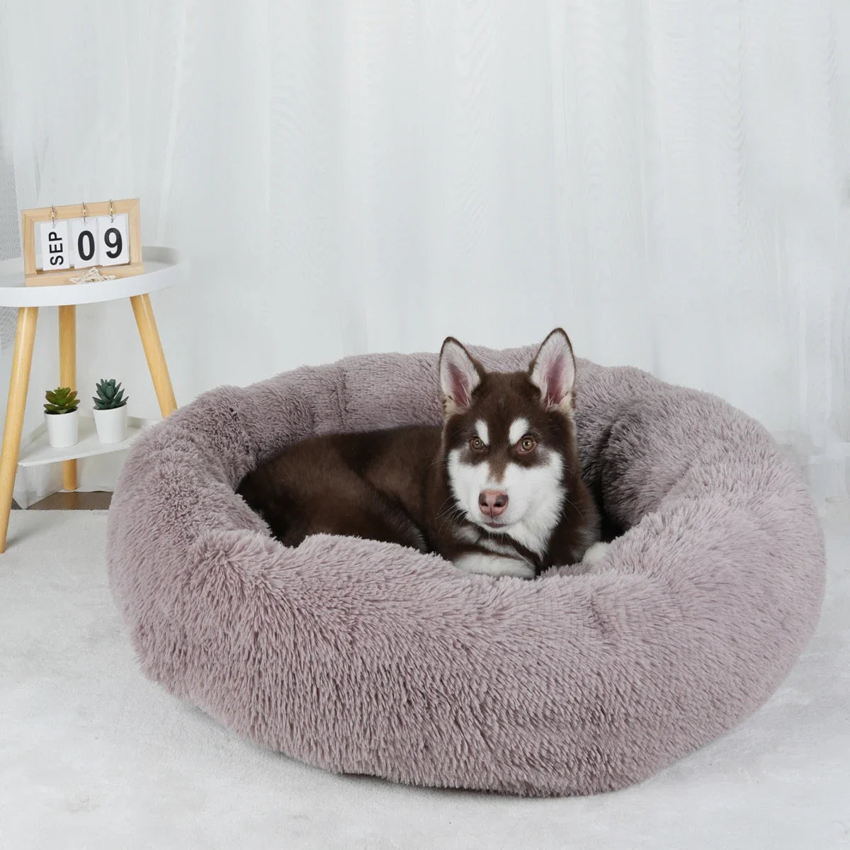 Dog Bed Donut Big Large Round Basket
