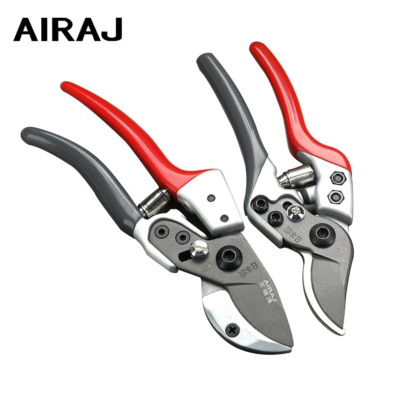 Gardening Pruning Fruit Tree 
shears