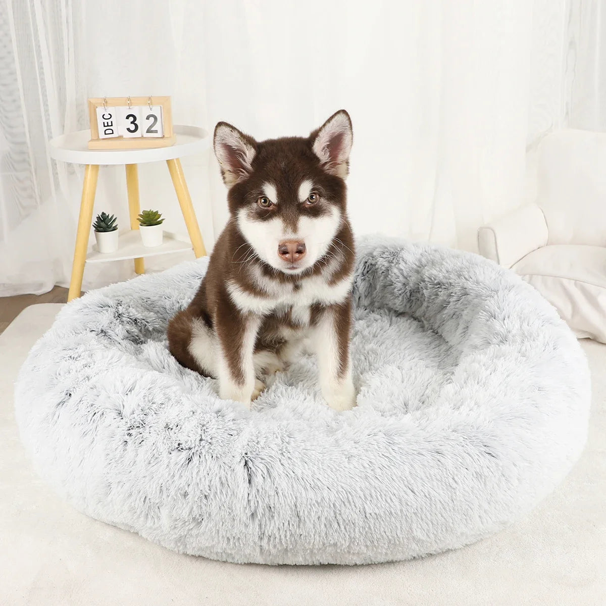 Dog Bed Donut Big Large Round Basket