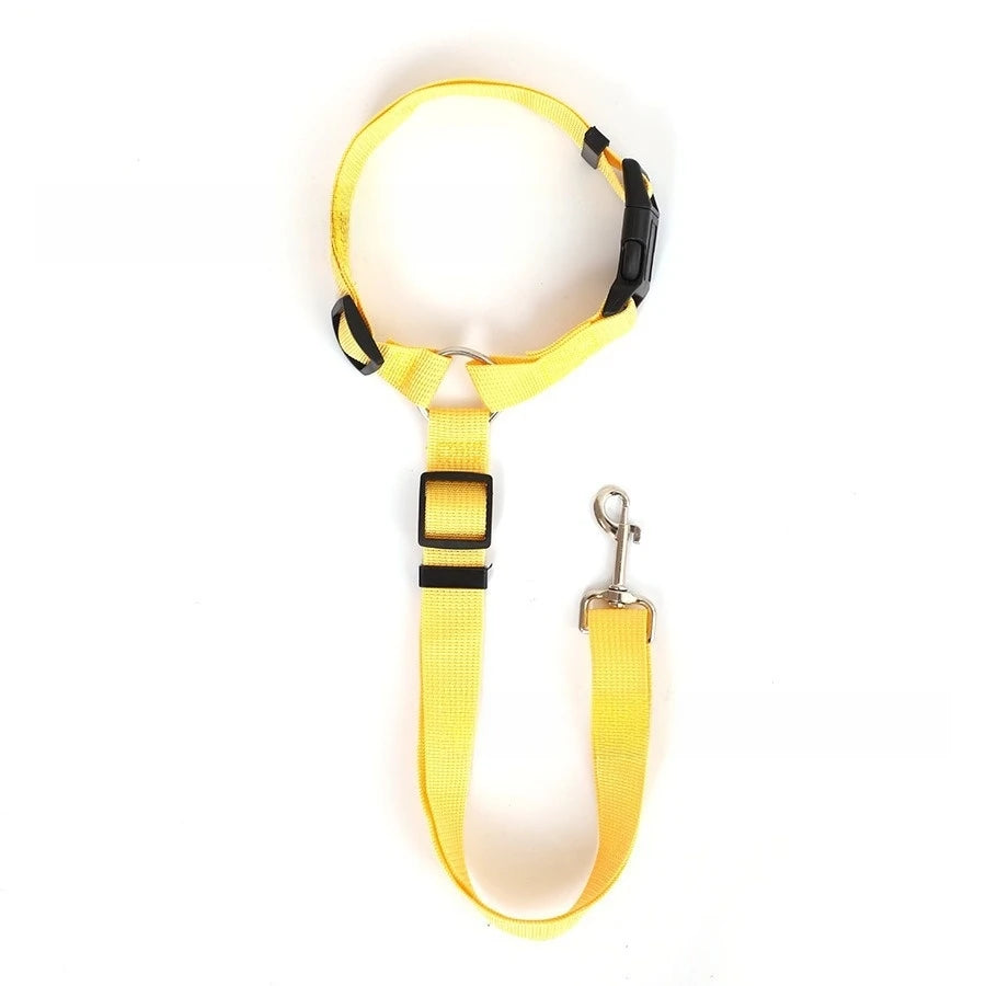 Two-in-one Pet Car Seat Belt