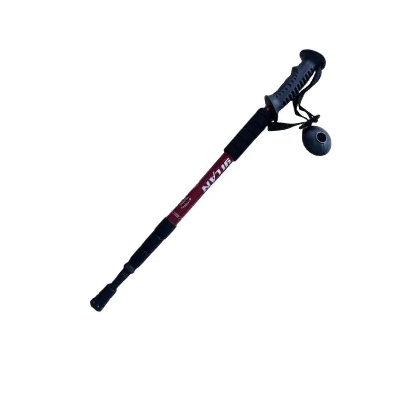 Trekking Poles